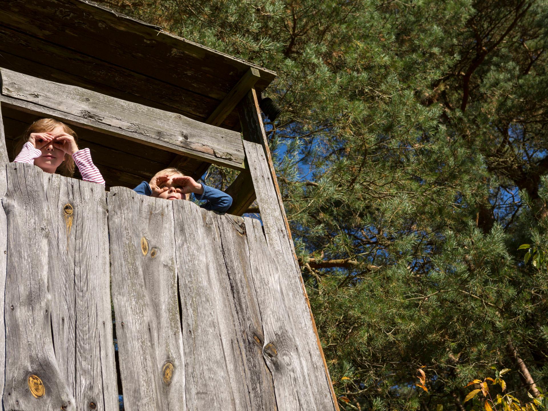Ein junge und ein Mädchen schauen aus einem Baumhaus und halten sich die Hände wir Ferngläser vor die Augen