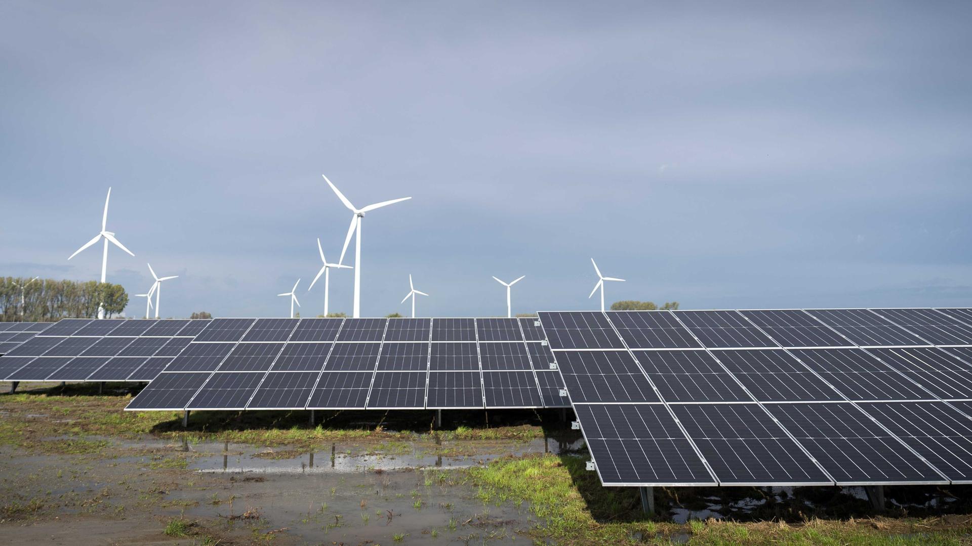 Auf dem Boden sind zahlreiche Solarpanele angebracht. Im Hintergrund stehen Windkraftanlagen. Auf dem Boden sind zahlreiche Solarpanele angebracht. Im Hintergrund stehen Windkraftanlagen.
