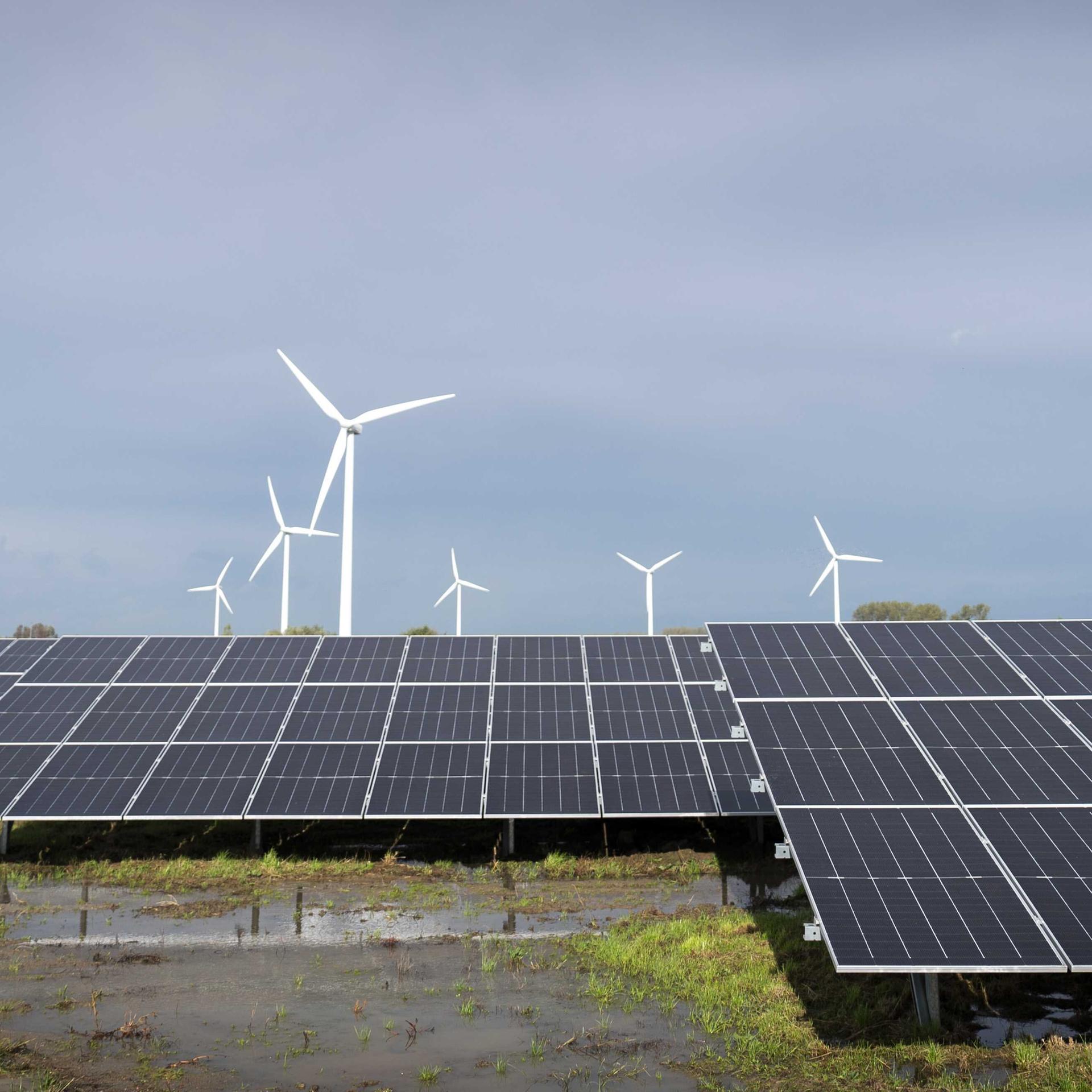 Auf dem Boden sind zahlreiche Solarpanele angebracht. Im Hintergrund stehen Windkraftanlagen.