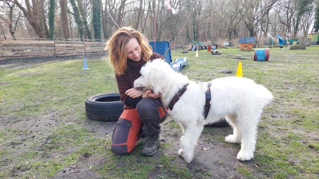 Hundetrainerin Ariane Ullrich und Bommel, der Hund (weiss) auf einem Hundeplatz.